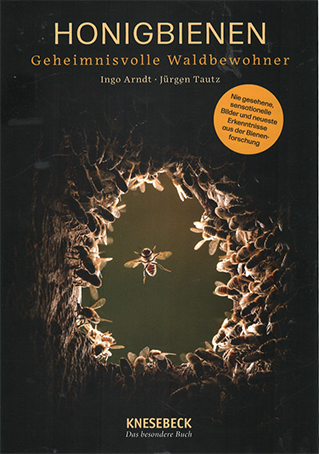 Das Leben wilder Bienen