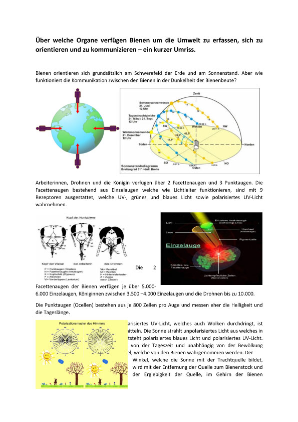 Resume Virtrag GV 2025 1