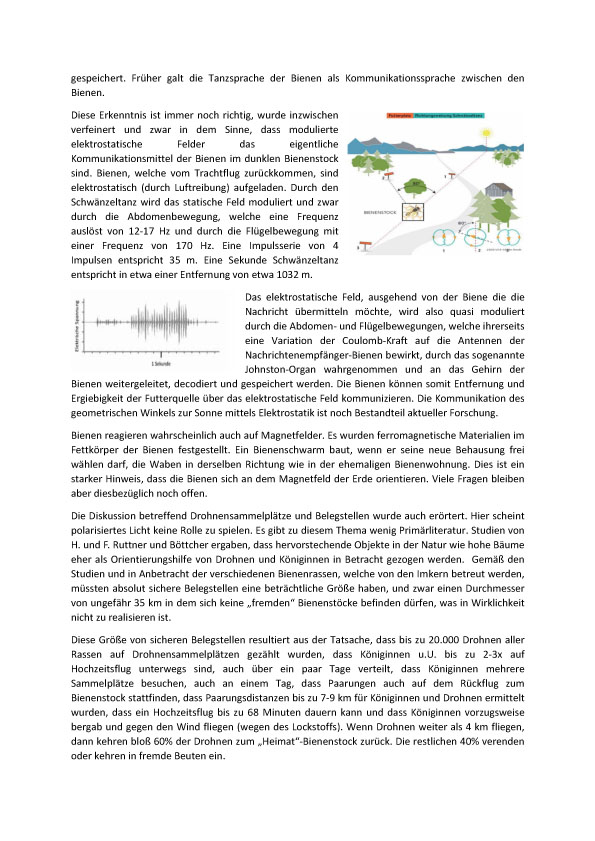 Resume Virtrag GV 2025 2